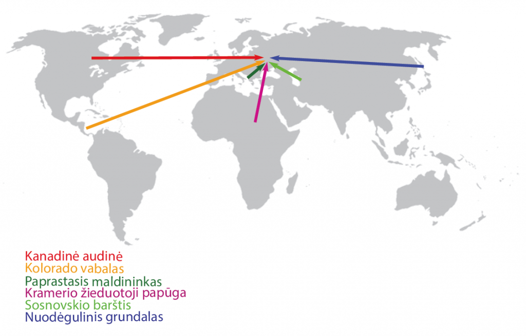 Invazinių rūšių kilmės žemėlapis Šaltinis: http://mricha14.github.io/birdsoundsproject/img/world_map.png