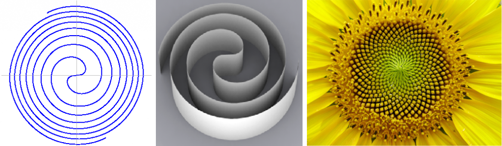 Ferma spiralė, $$r=\pm q^{1/2}$$, r – spiralės taško atstumas nuo centro, q – jo posūkio nuo horizontalios ašies kampas