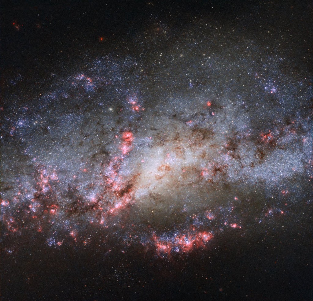This image, taken with the NASA/ESA Hubble Space Telescope, shows the galaxy NGC 4490. The scattered and warped appearance of the galaxy are the result of a past cosmic collision with another galaxy, NGC 4485 (not visible in this image). The extreme tidal forces of the interaction between the two galaxies have carved out the shapes and properties of NGC 4490. Once a barred spiral galaxy, the outlying regions of NGC 4490 have been stretched out, resulting in its nickname of the Cocoon Galaxy.
